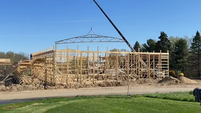 When The Cranes Arrived