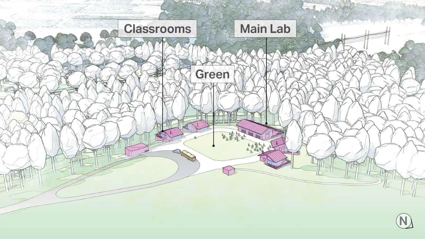 9-12 Nature School